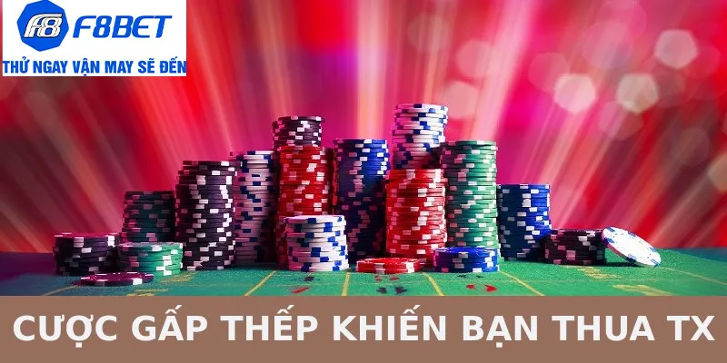 cược gấp thếp sai lầm thường gặp